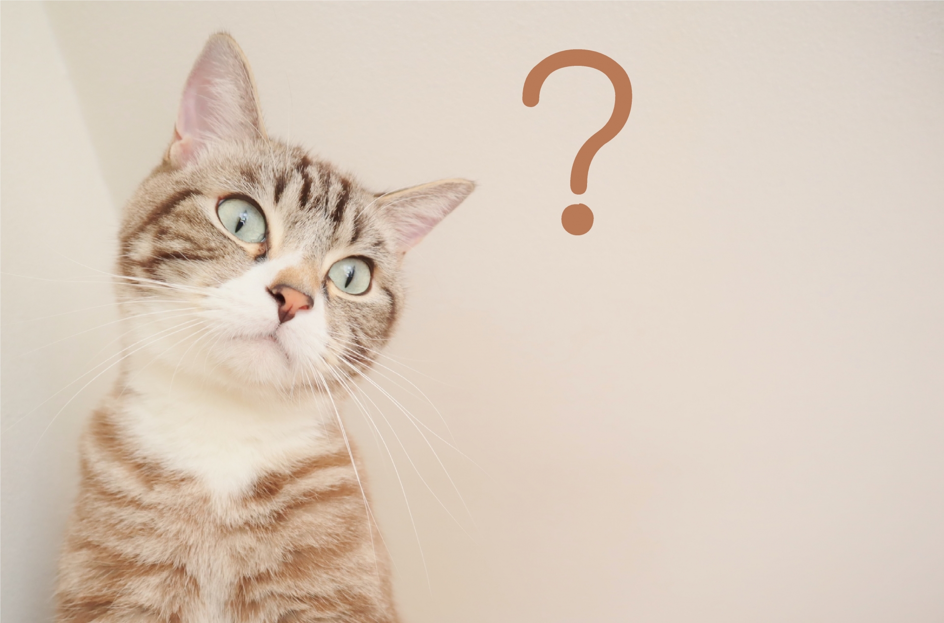 画像に alt 属性が指定されていません。ファイル名: 3769729_m.jpg